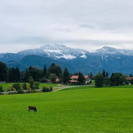 Modernes 1 Zi. Fuer 2 Personen Mit Balkon